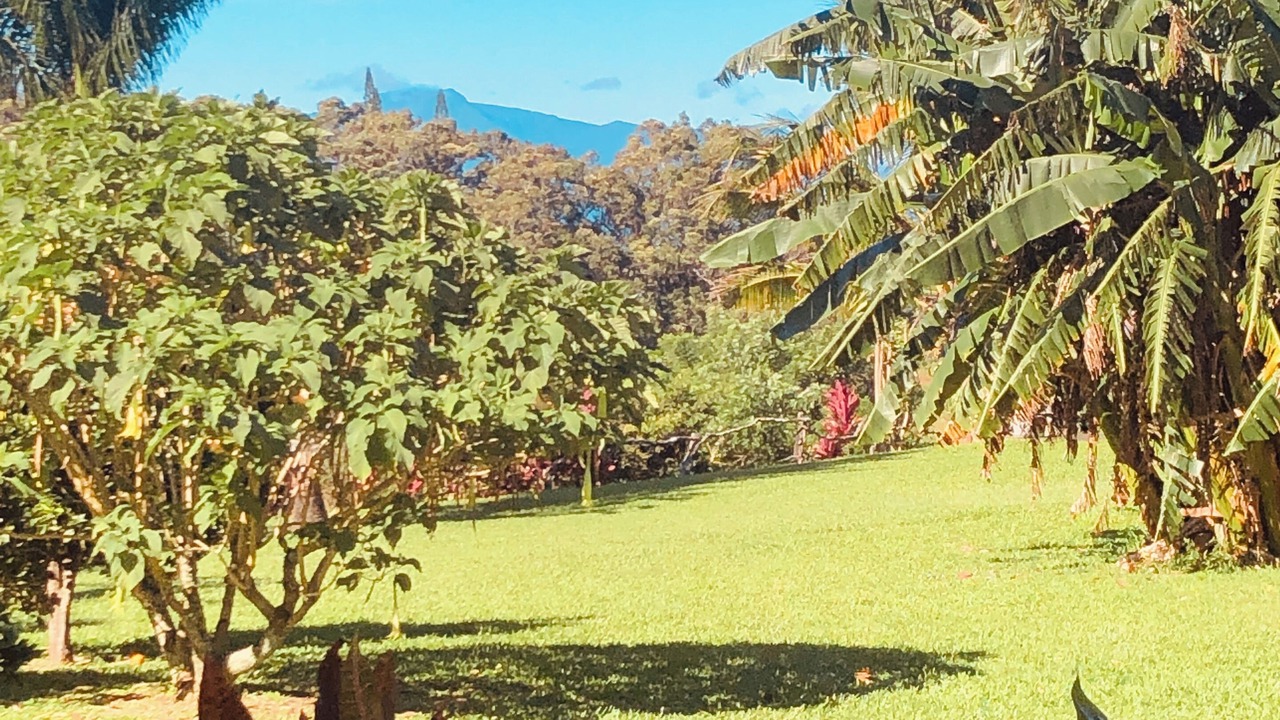 Photo of Outdoor in Pauwela