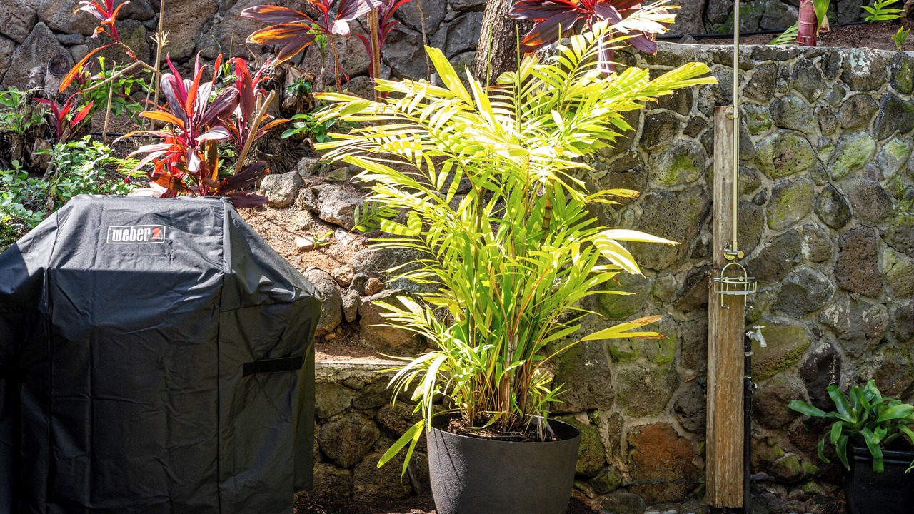 Photo of Outdoor in Waimanalo Beach