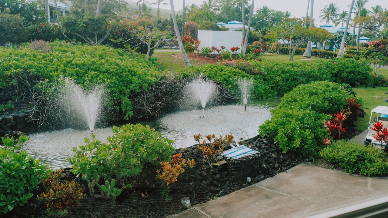 Photo of Outdoor in Keauhou