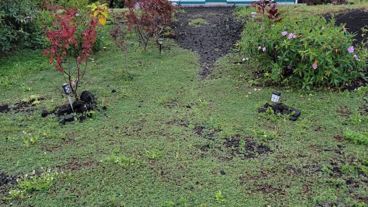 Photo of Outdoor in Keaau
