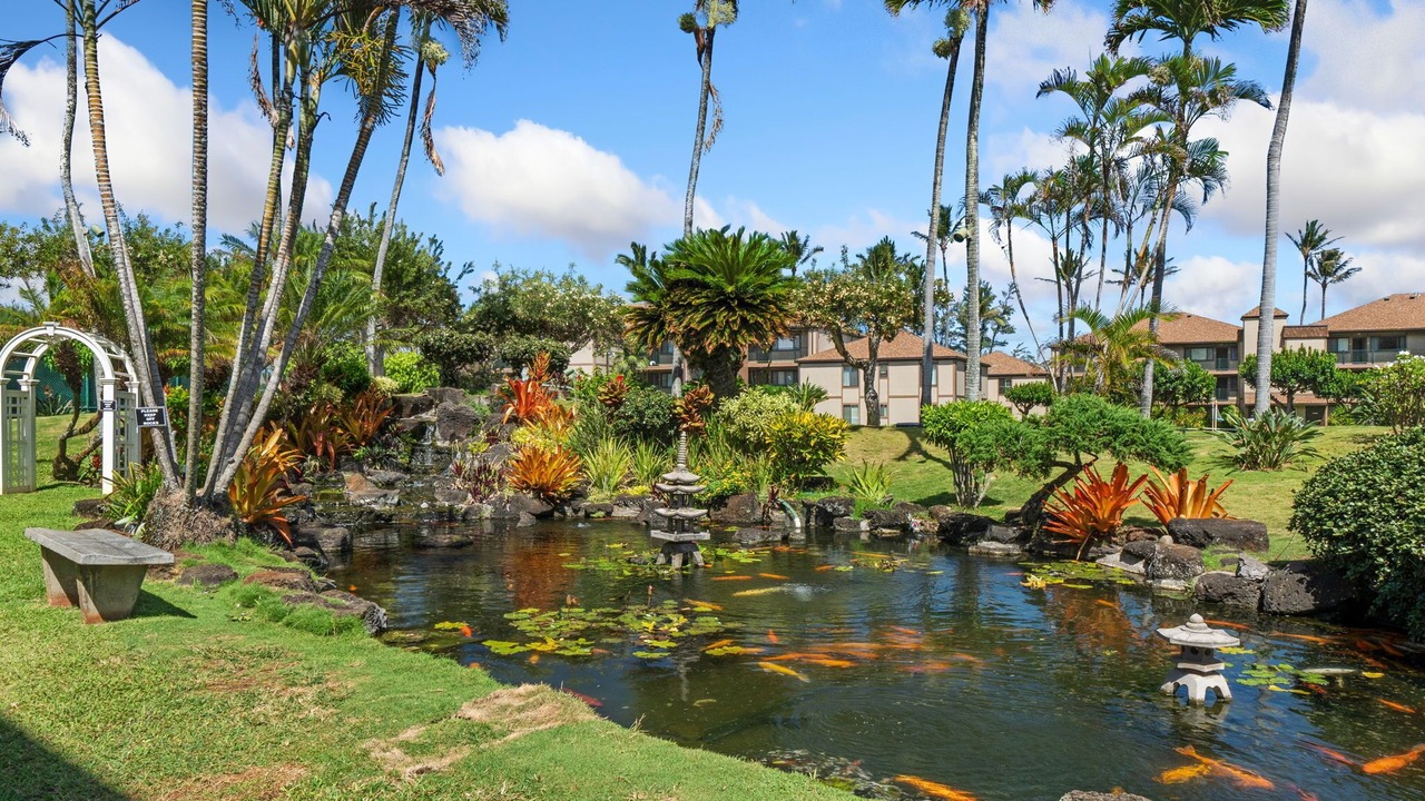 Photo of Others in Kapaa