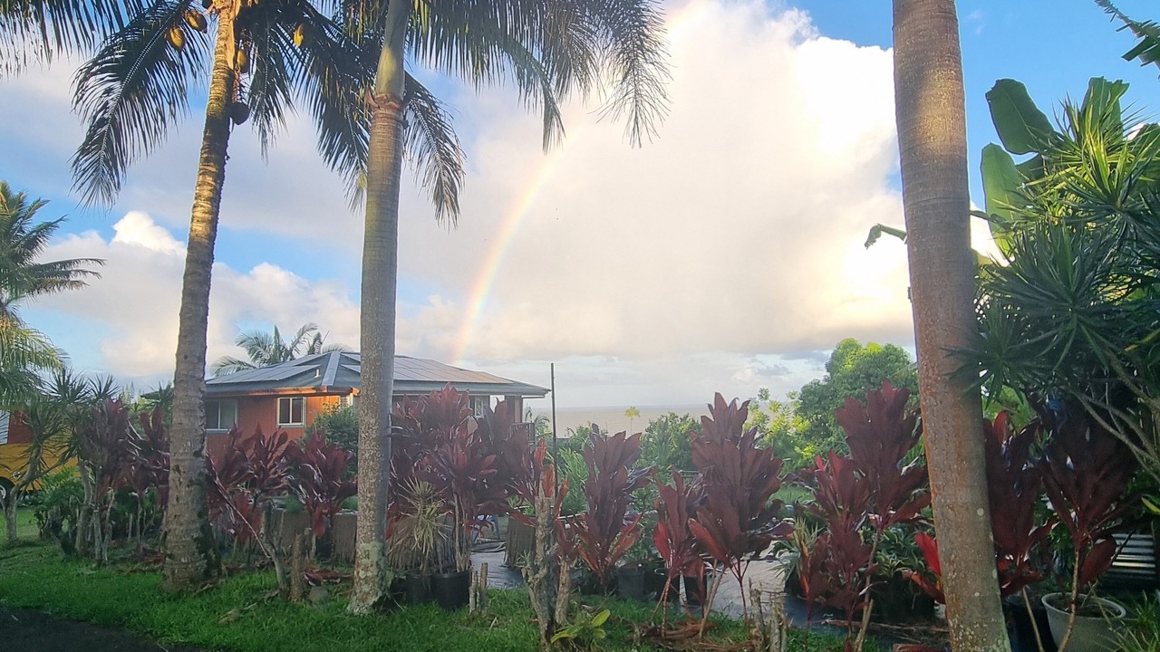 Photo of Outdoor in Papaikou