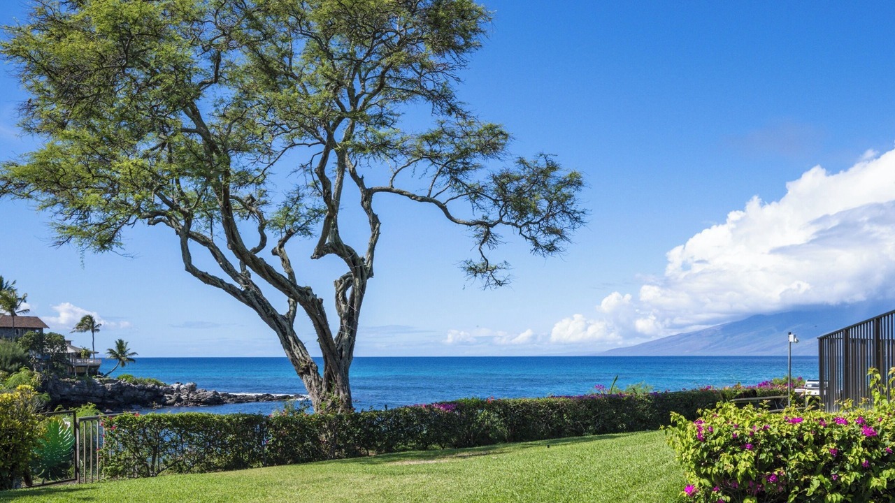 Photo of Outdoor in Napili