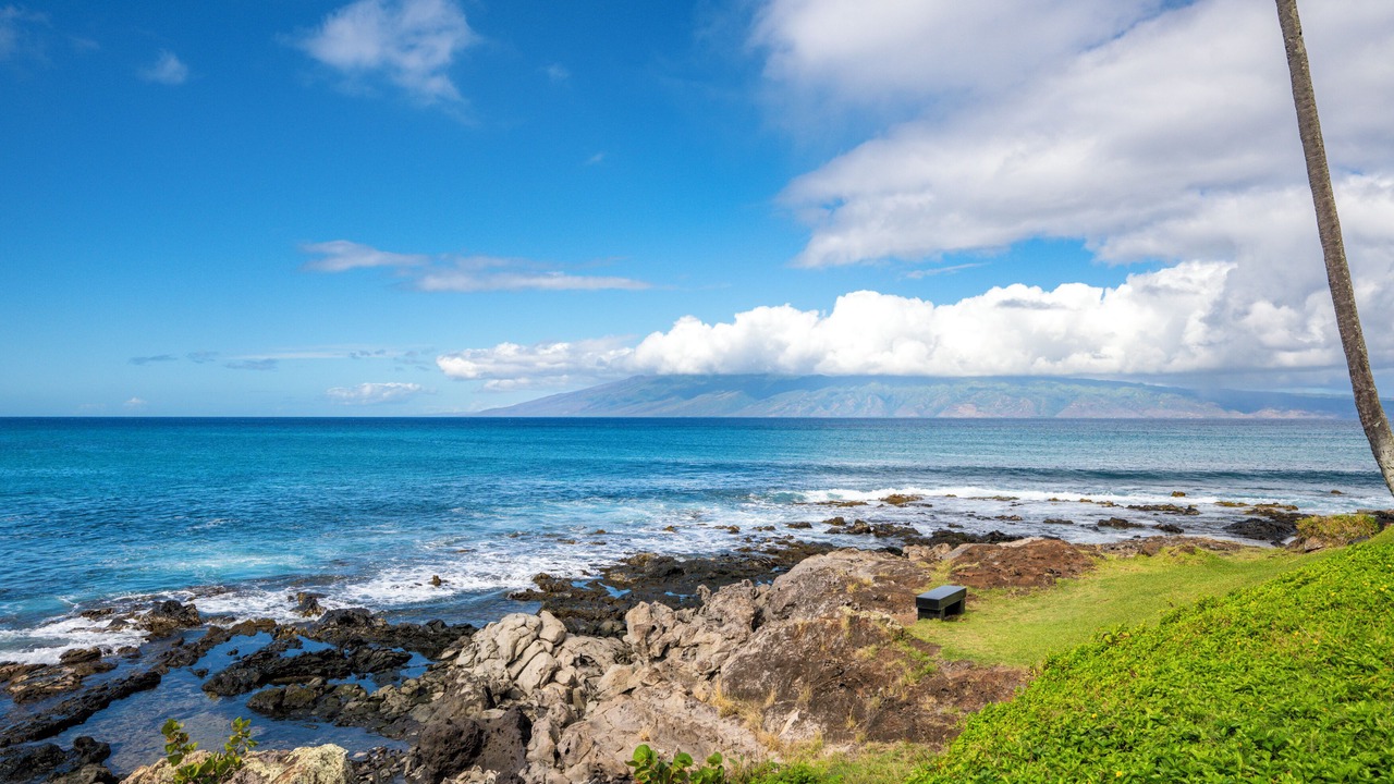 Photo of Others in Napili