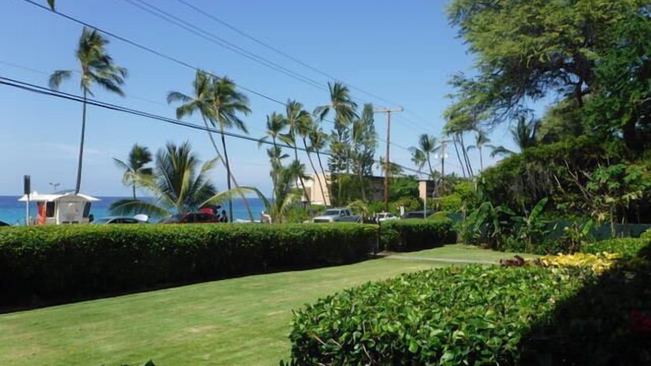 Photo of Others in Kahaluu Bay