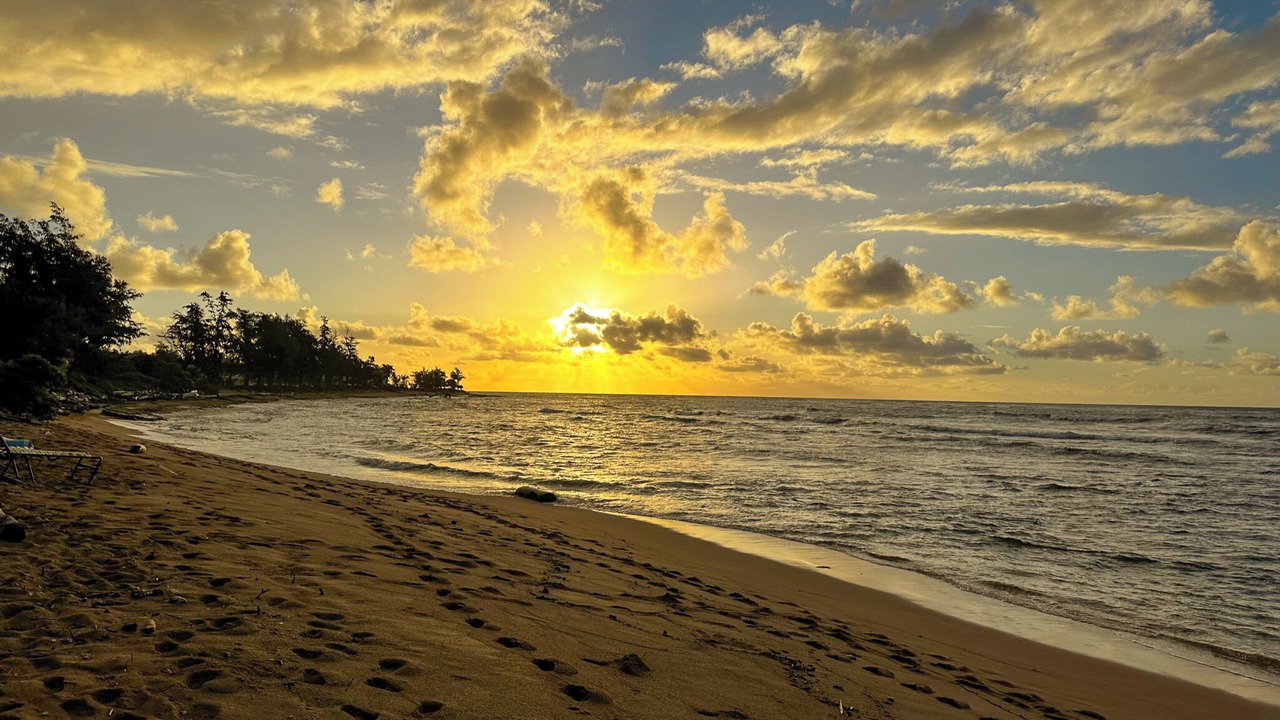 Photo of Others in Wailua
