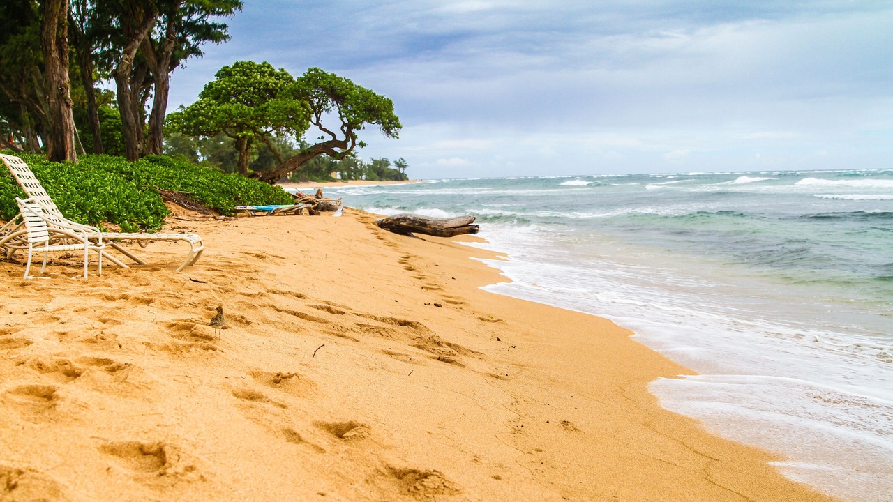 Photo of Others in Wailua