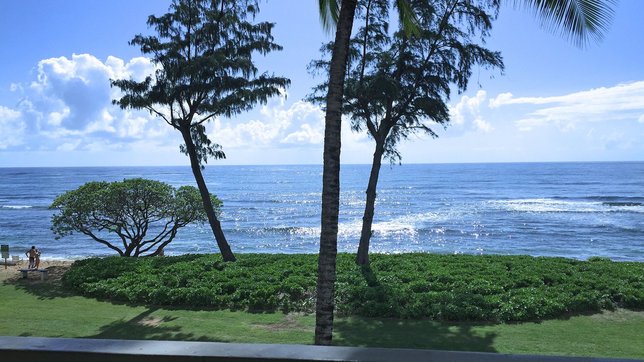 Photo of Others in Wailua