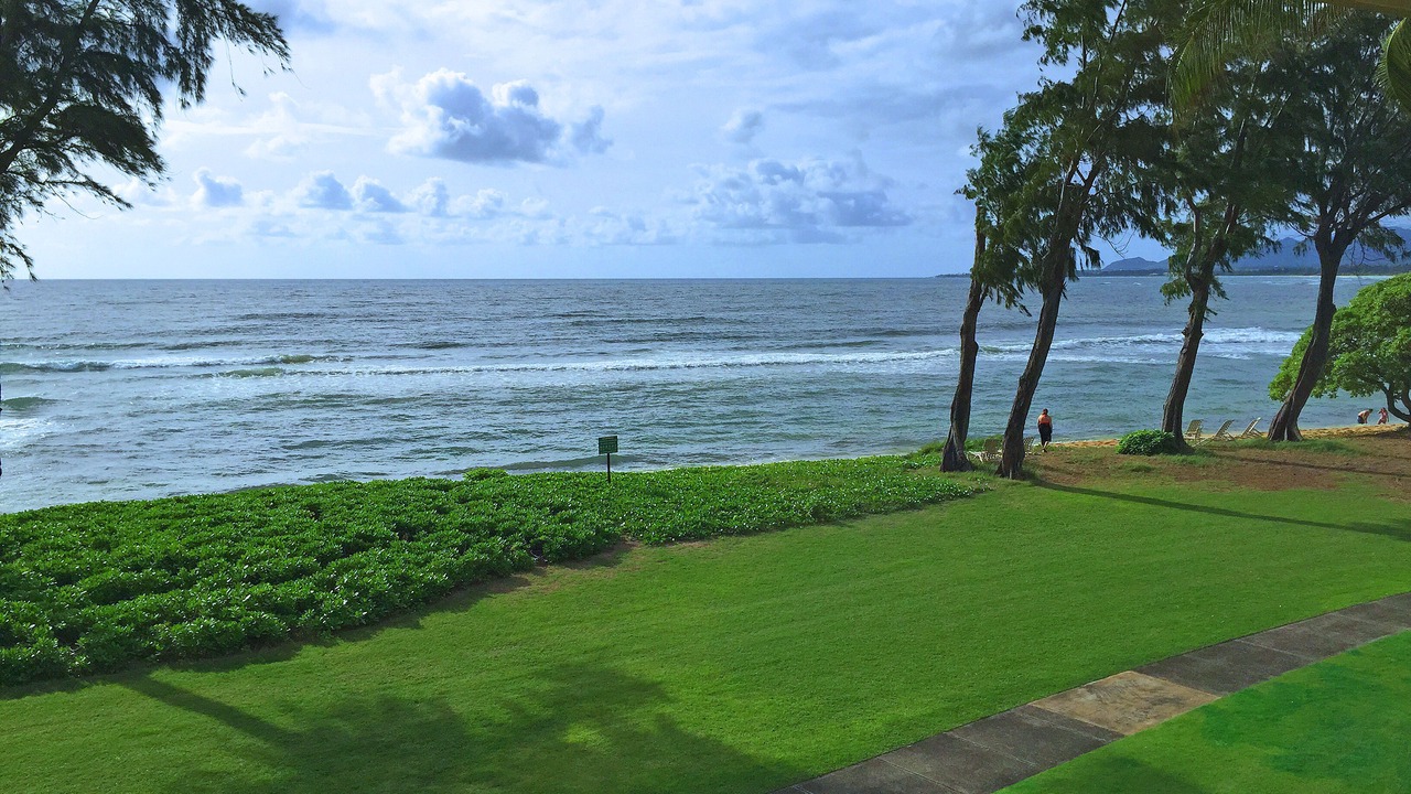 Photo of Others in Wailua