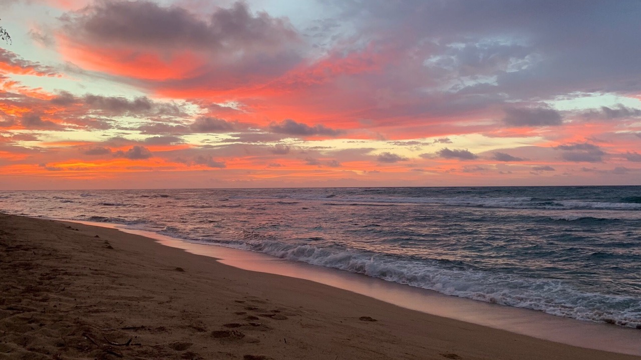 Photo of Others in Wailua