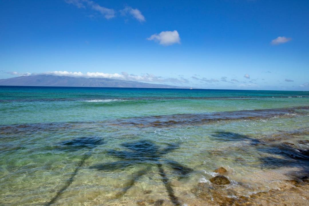Photo of Others in Honokowai