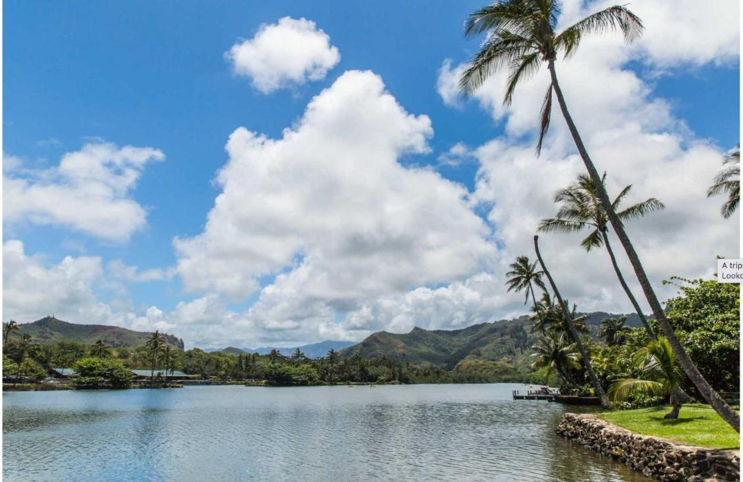 Photo of Others in Wailua