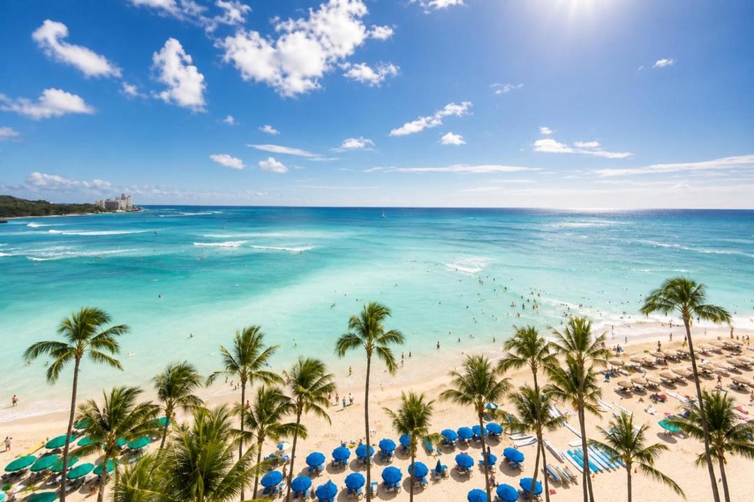 Photo of Others in Waikiki