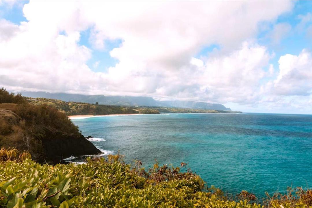 Photo of Others in Wailua