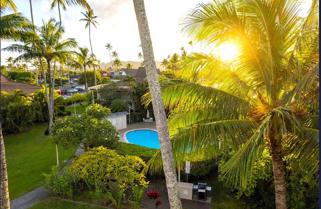Photo of Others in Wailua