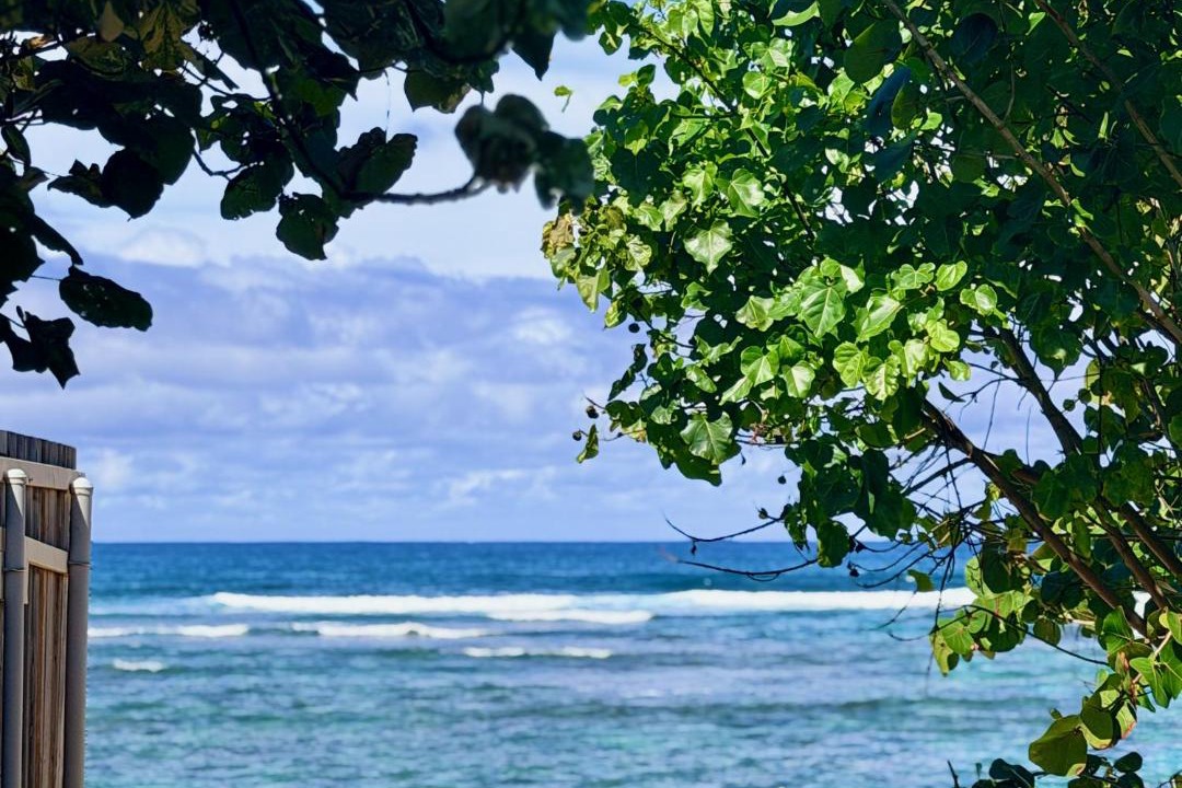 Photo of Others in Mokuleia