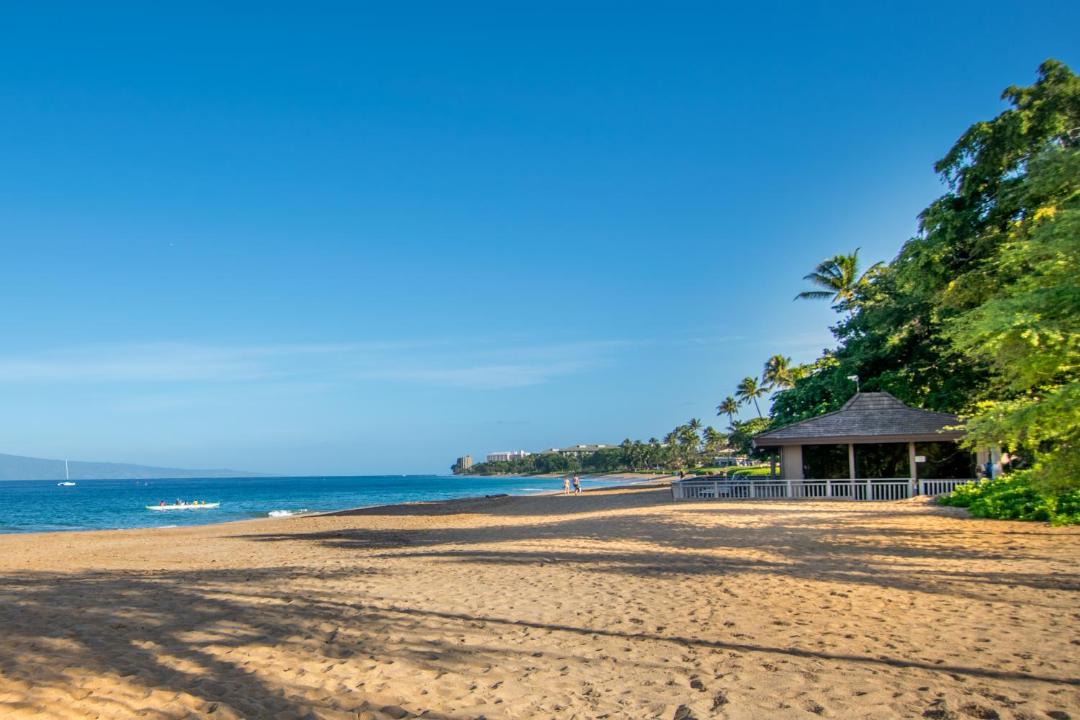 Photo of Others in Kaanapali