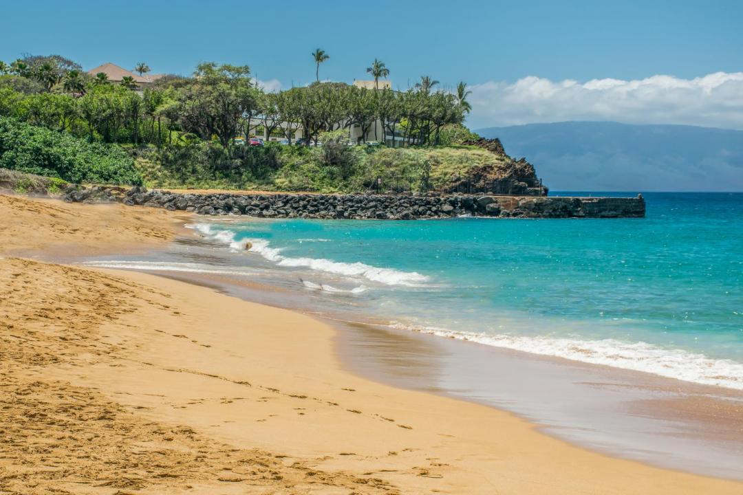 Photo of Others in Kaanapali