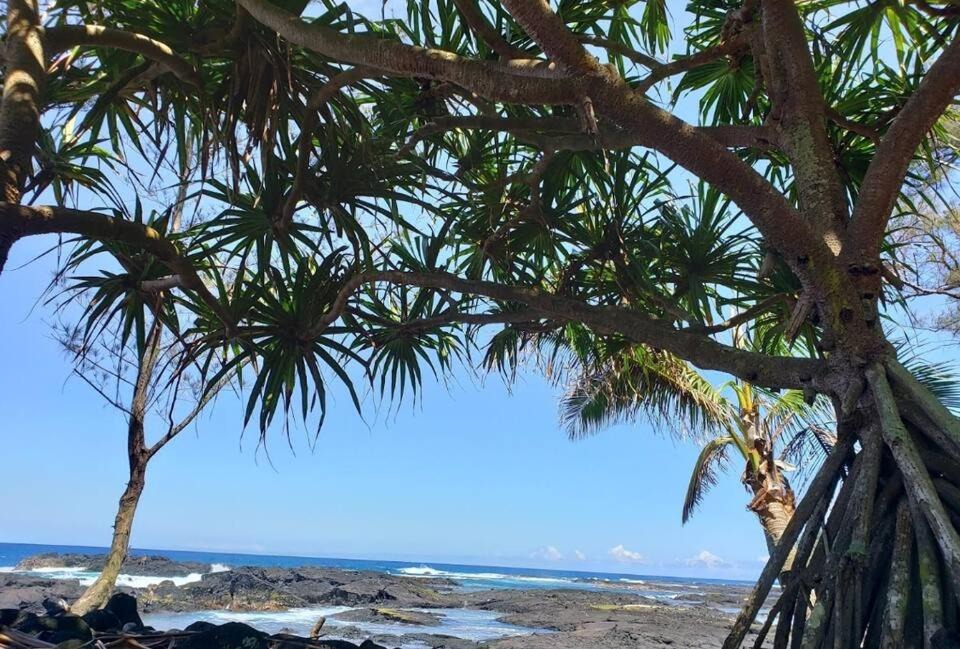 Photo of Others in Keaukaha