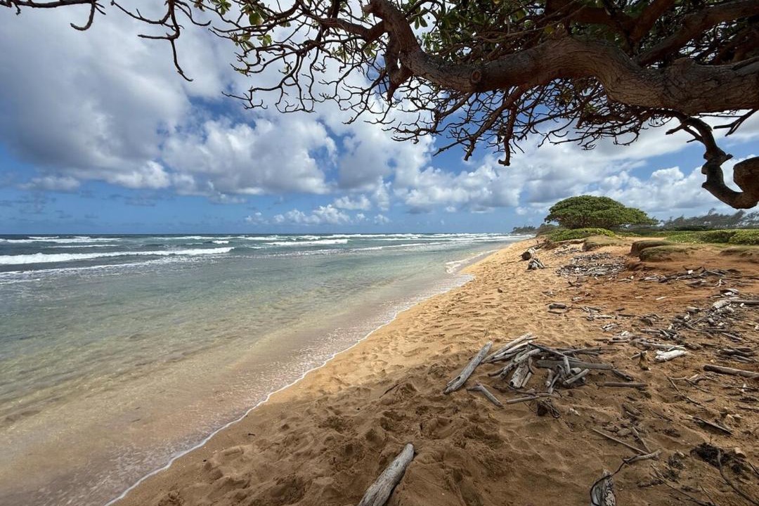 Photo of Others in Hanamaulu