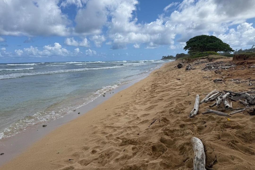 Photo of Others in Hanamaulu