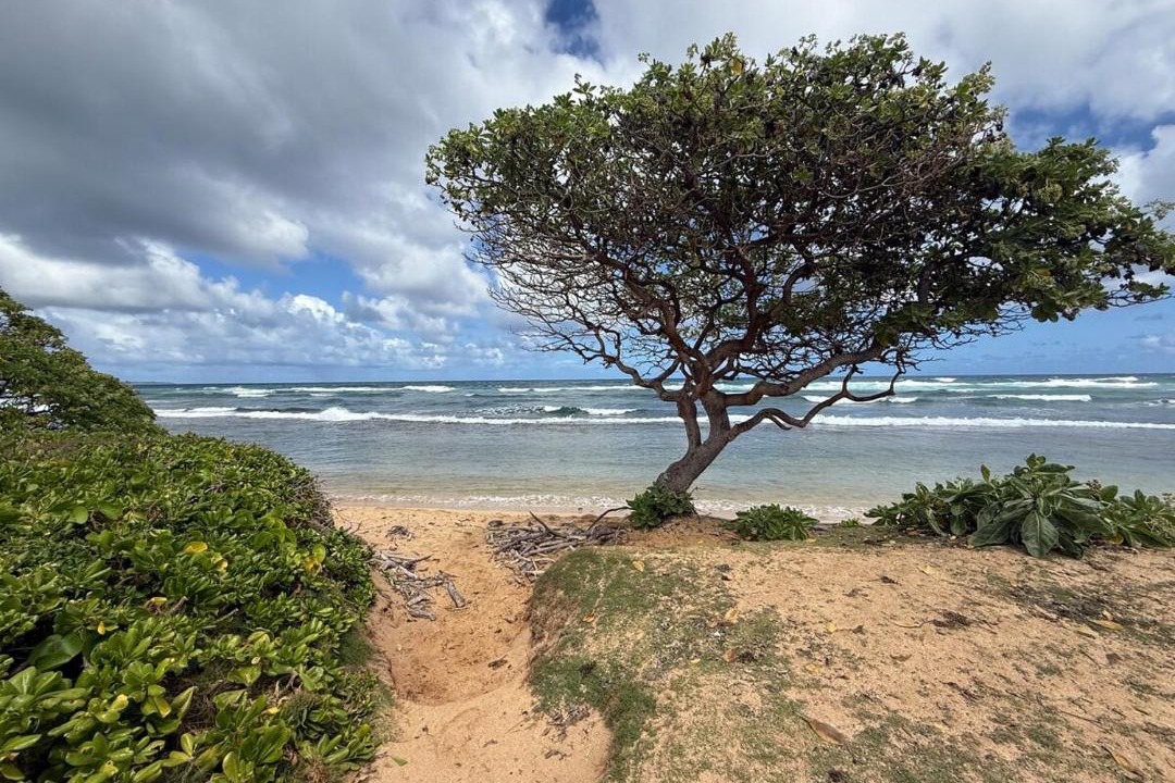 Photo of Others in Hanamaulu