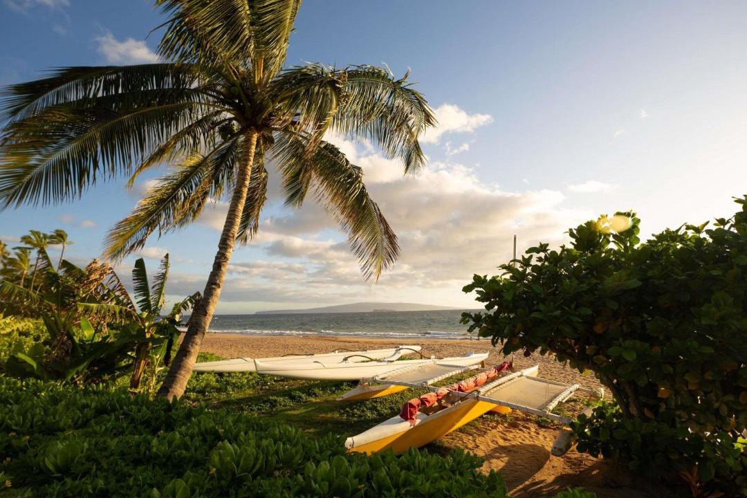 Photo of Others in Wailea