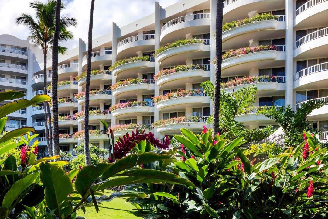 Photo of Others in Wailea
