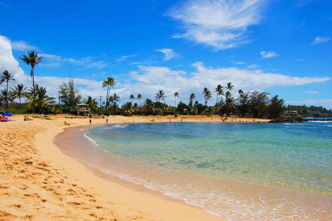 Photo of Others in Poipu
