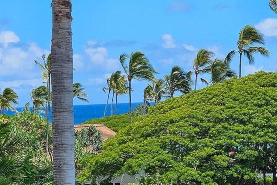 Photo of Others in Poipu