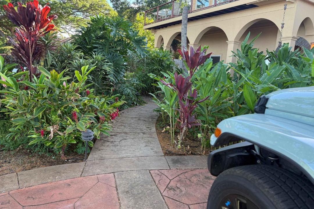 Photo of Outdoor in Kahana