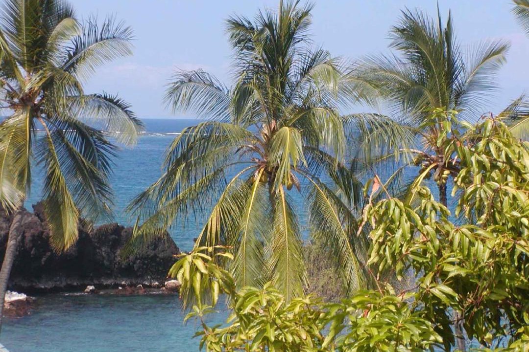 Photo of Others in Honaunau-Napoopoo