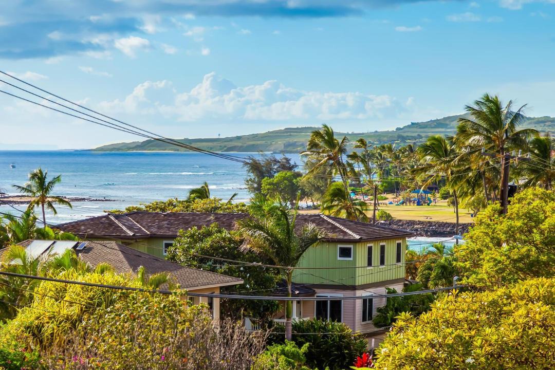 Photo of Others in Poipu