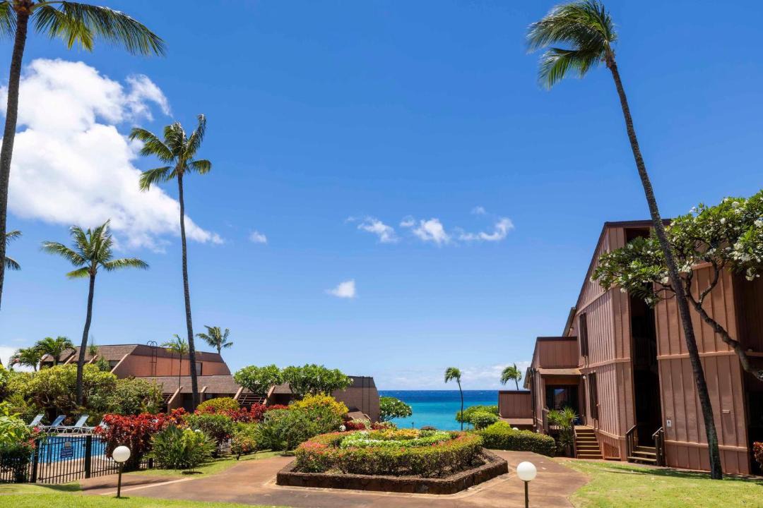 Photo of Others in Honokowai