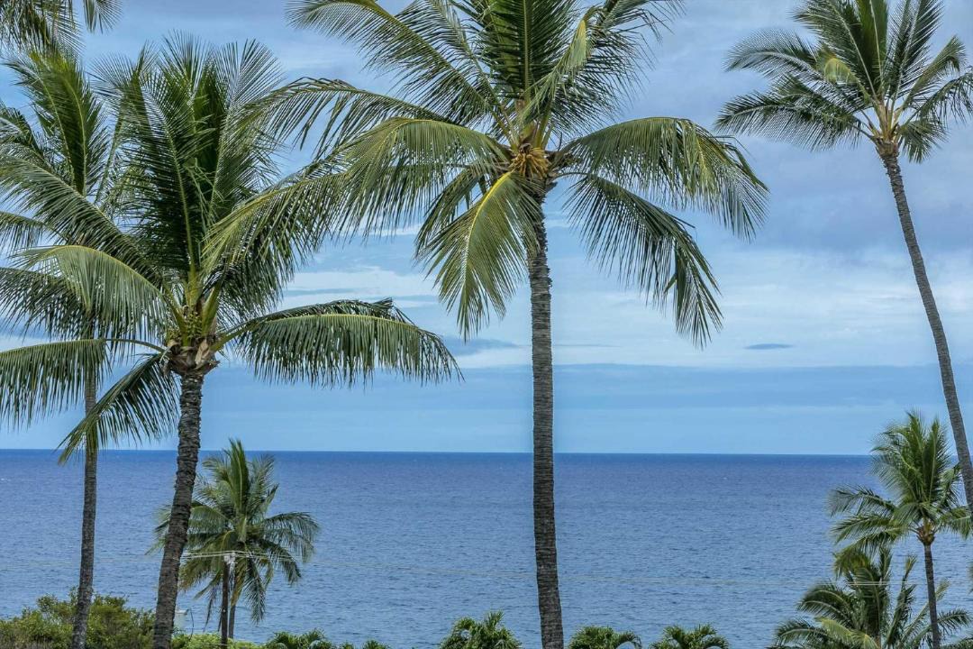 Photo of Others in Kihei