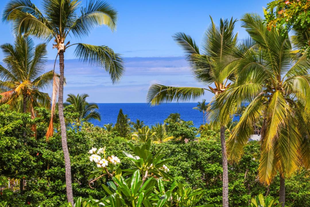 Photo of Others in Keauhou