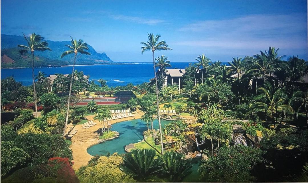 Photo of Others in Princeville