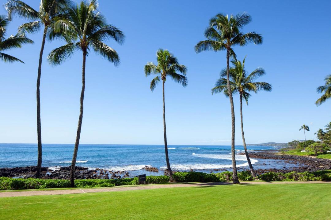 Photo of Others in Poipu
