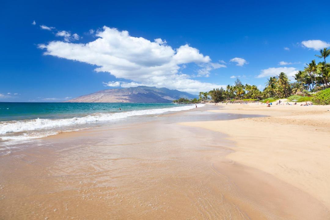 Photo of Others in Kihei