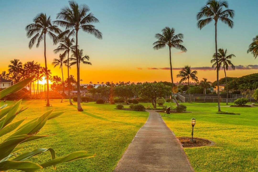 Photo of Others in Poipu