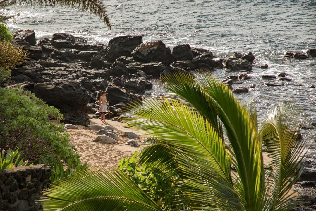 Photo of Others in Kahana