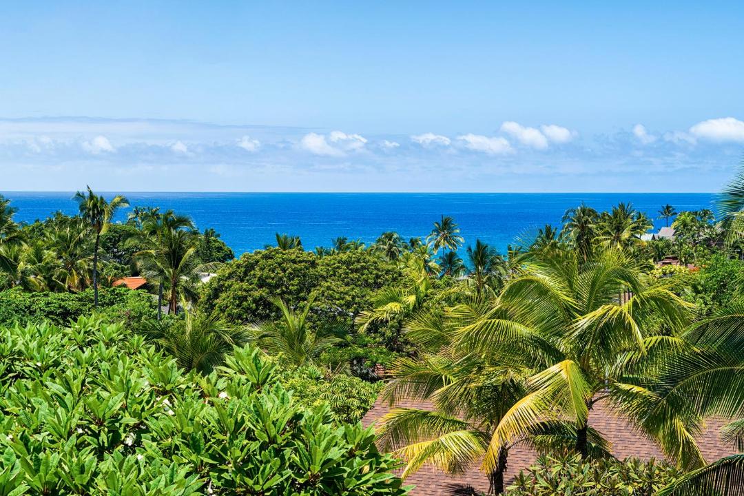 Photo of Others in Keauhou