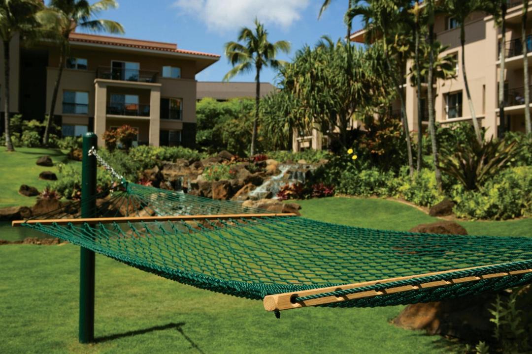 Photo of Others in Poipu