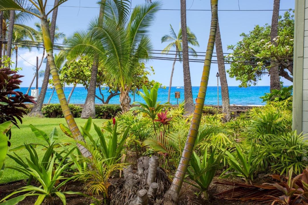 Photo of Others in Historic Kailua Village