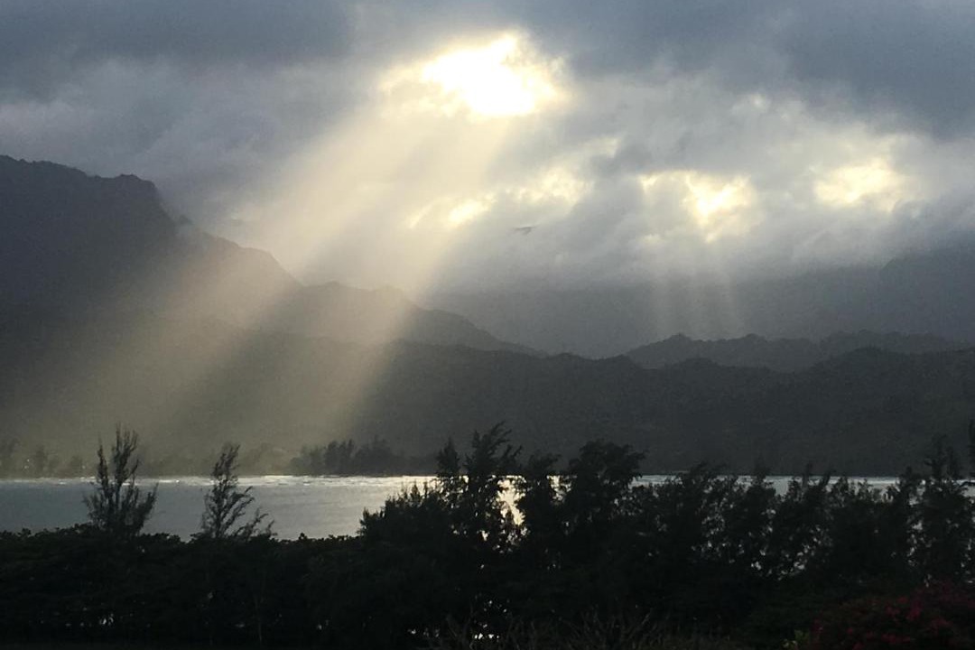 Photo of Others in Princeville