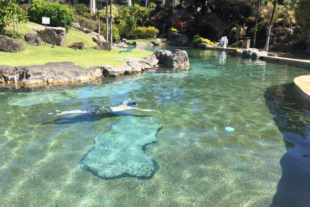 Photo of Others in Princeville