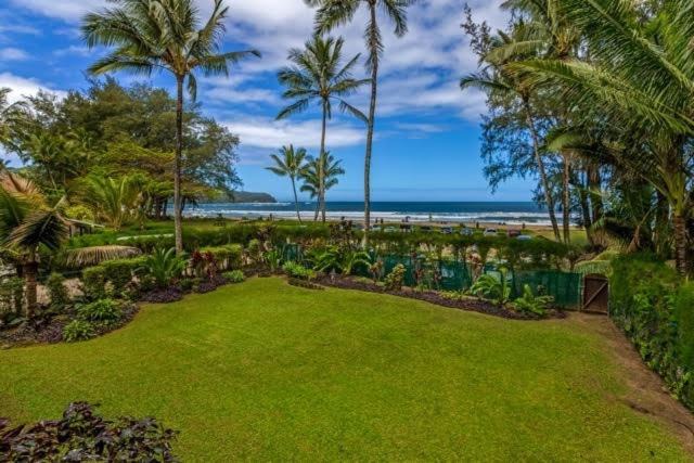 Photo of Others in Hanalei