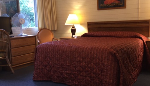 Superior Studio, 1 Queen Bed, Kitchen