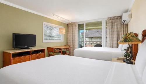 Room with Garden View