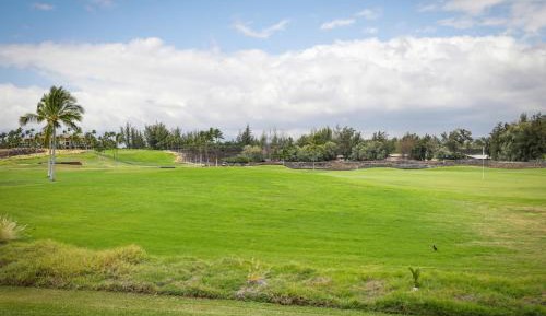 One-Bedroom Golf View